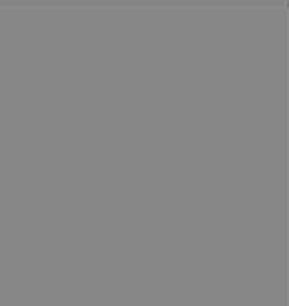 /site/DefaultSite/filesystem/images/products/lee-filters/Photographic/camera%20filters/289/0.45nds.jpg