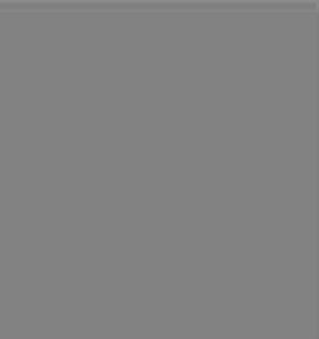 /site/DefaultSite/filesystem/images/products/lee-filters/Photographic/camera%20filters/289/0.5nds.jpg