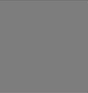 /site/DefaultSite/filesystem/images/products/lee-filters/Photographic/camera%20filters/289/0.6nds.jpg